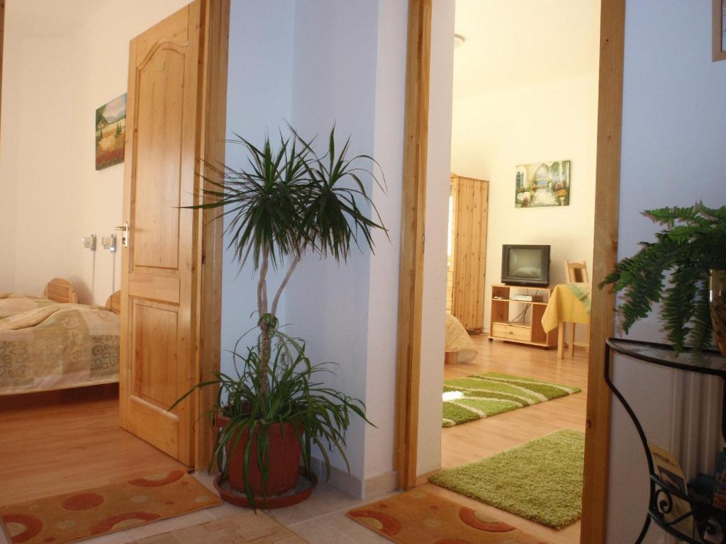 Centrum Apartmanhaz Pécs Zimmer foto